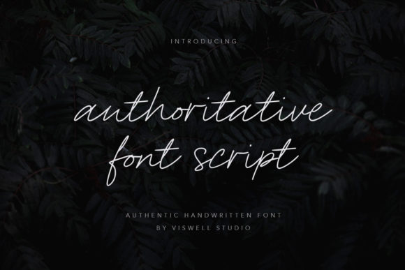 Authoritative Font for Branding That Stands Out