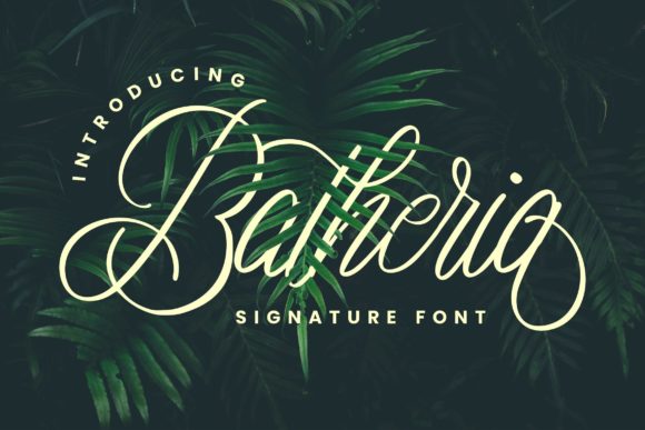 Batheria: A Sophisticated Script Font for Editorial Design