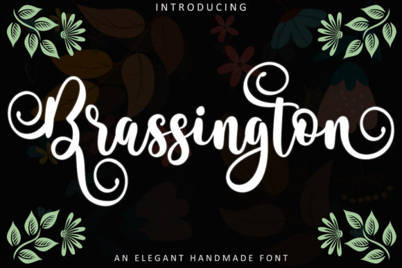 Brassington: A Delicate Script Font for Editorial Elegance