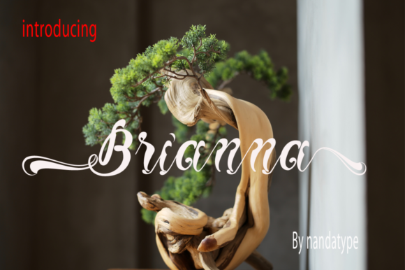Brianna Script Font Review for Branding Projects