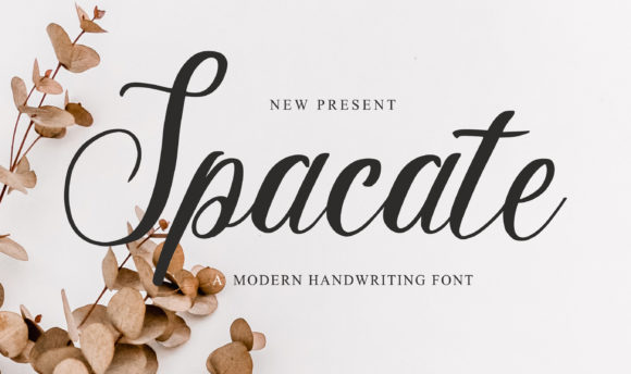 Spacate: A Handwritten Font for Professional Branding